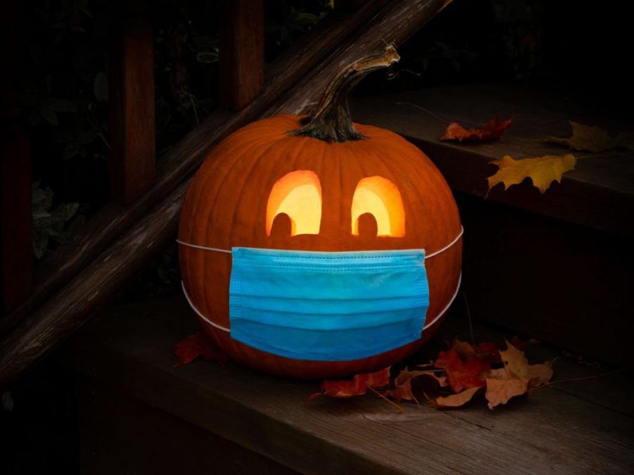 Staff Writer Analise Bruno explores the best ways to safely celebrate Halloween this year. 