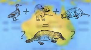 Ripleys explains how scientists once believed the platypus to be a hoax. (photo courtesy of Ripleys) 