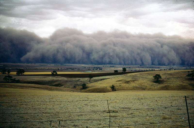 Photo in Courtesy of Washington State Department of Ecology