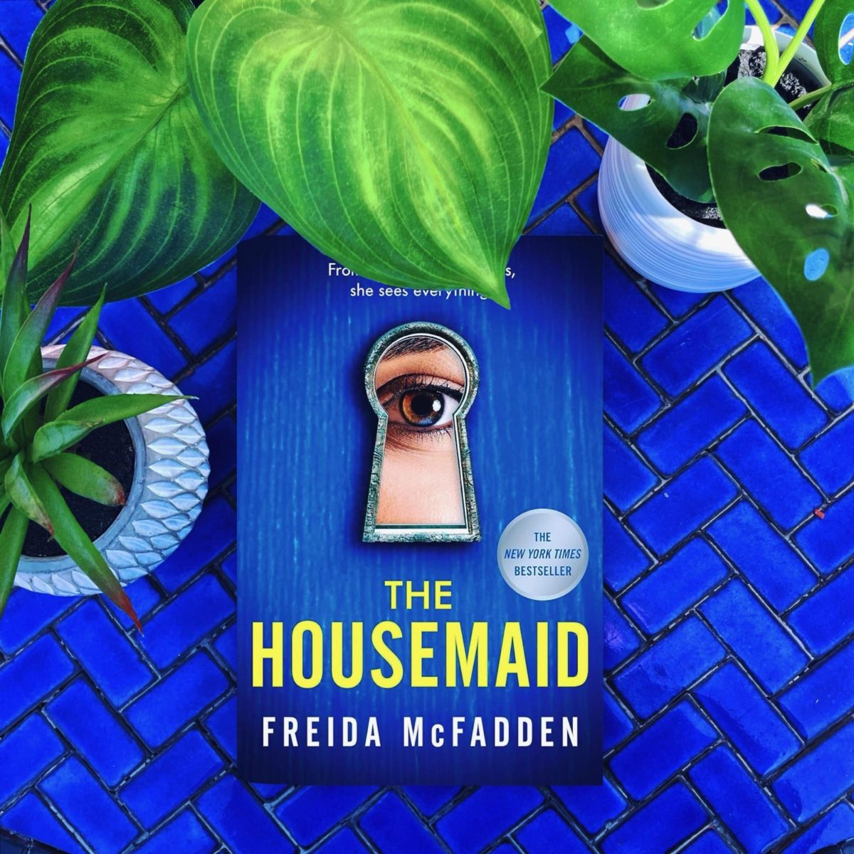 Book Overview: The Housemaid