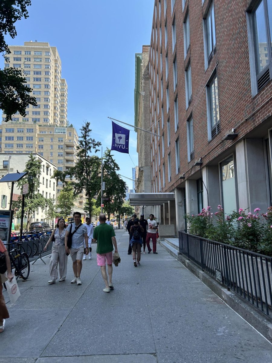The NYU Simons Summer Science Program