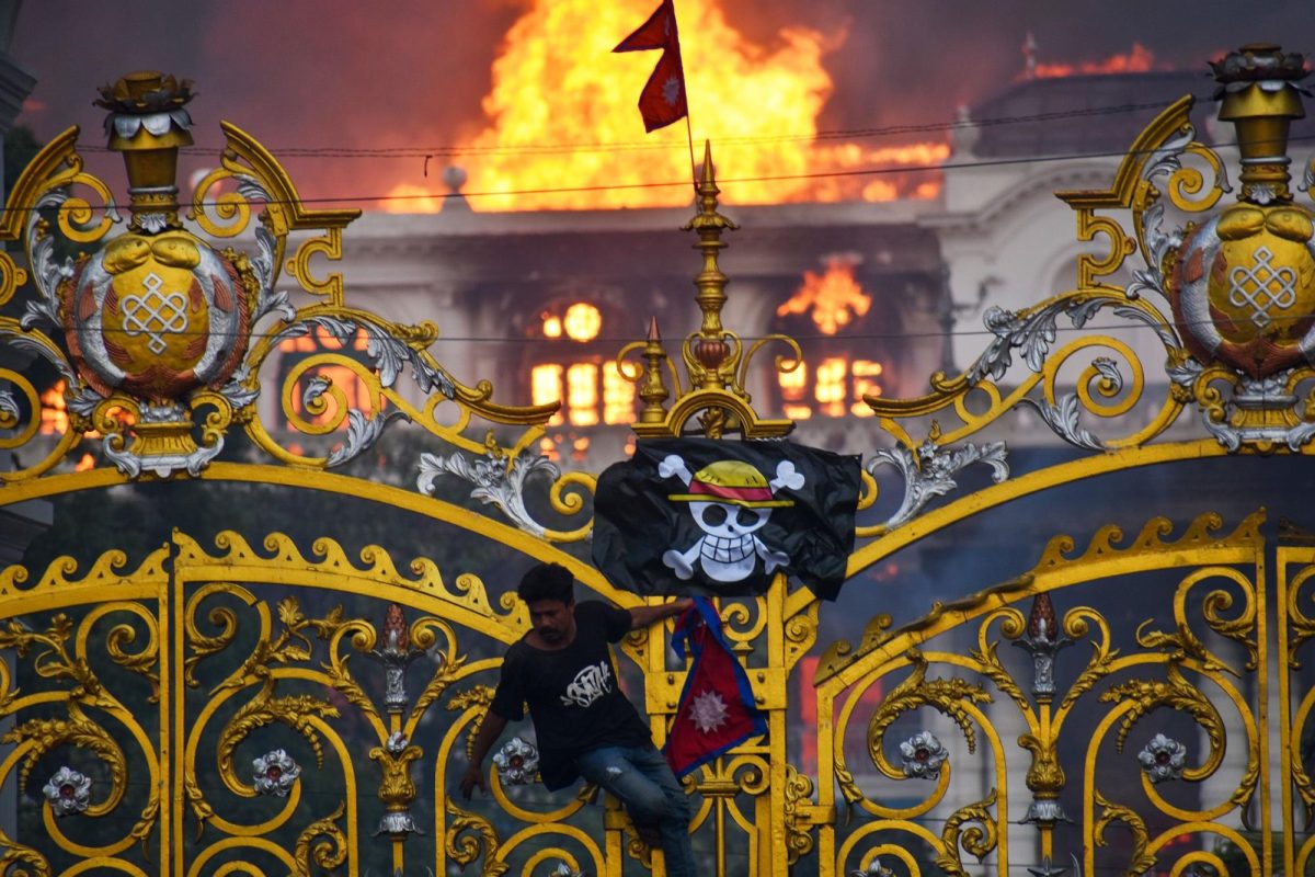 Citizen is shown waving the Straw Hat flag from the Japanese manga and anime series in front of a government complex burning set ablaze.